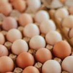 মুরগির ডিম (Chicken Egg)