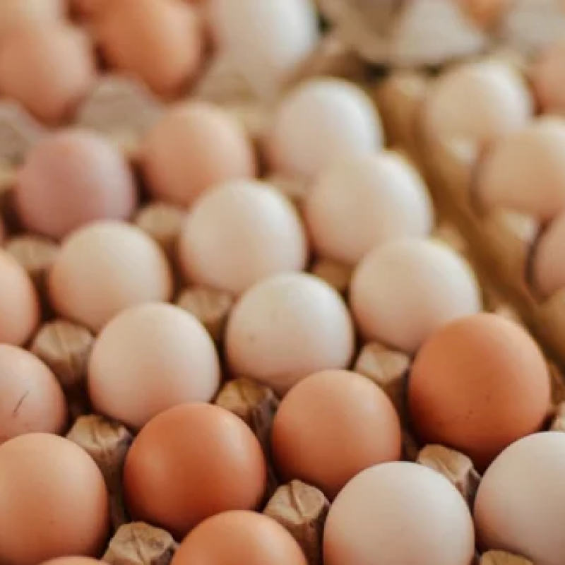 মুরগির ডিম (Chicken Egg)